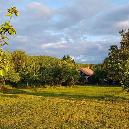 Tepke Guesthouse Garáb Buitenkant foto